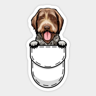 Funny Wirehaired Pointing Griffon Pocket Dog Sticker